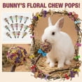 thumbnail image 2 of Natural Timothy Hay Grass Balls with Flower Petals, Lollipop Shape Small Animal Chew Toys for Rabbits, Hamsters, Guinea Pigs, Dental Teeth Grinding Accessory, 2 of 6