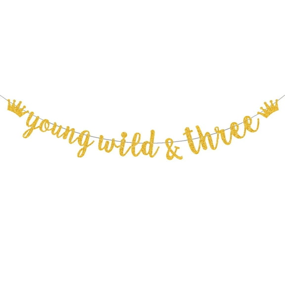 Young Wild & Three Banner Gold Glitter, Happy Birthday 3rd Banner, 3rd Birthday Decorations Birthday Banner for Boy Girl 3rd Birthday Party Baby Shower Party (Pre-Strung)