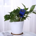 thumbnail image 3 of Herramientas Medidor Humedad Del 3 en 1 Medidor Humedad para Macetas Probador Instrumento Prueba PH (azul), 3 of 8