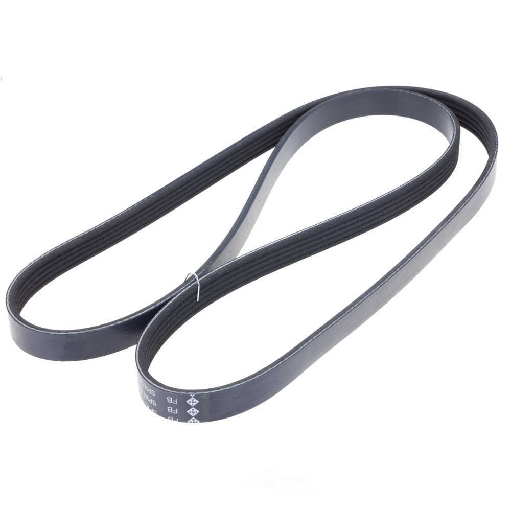 INA US FB5K565 INA BDC FEAD multi V-Belt