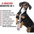 thumbnail image 6 of Magic Black Brightening Dog Shampoo, 6 of 10