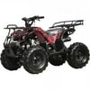 Coolster 125cc ATV 3125XR8