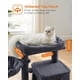 thumbnail image 3 of Cat Tree FEANDREA, diseño de varios niveles para gatos grandes Smoky Gr, 3 of 3