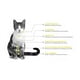 thumbnail image 2 of Paquete de dos Nupec felino urinary 1.5 kg, 2 of 4