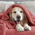 thumbnail image 6 of Vellux King Plush Texture Blanket | Ultra Soft Lightweight All-Season Throw | Deep Rose, 6 of 8