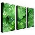 thumbnail image 2 of Trademark Art "Water Droplets" Canvas Art by Kathie McCurdy, 3-Piece Panel Set, 16x32, 2 of 2