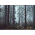 thumbnail image 2 of wall26 Foggy Pin Forest - Removable Wall Mural | Self-Adhesive Large Wallpaper - 66x96 inches, 2 of 5