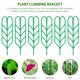 thumbnail image 2 of Equipo De Protección Y Soporte De La Planta, Soportes Para Plantas Trepadoras, Soporte Para Tallos De Plantas, Tallo De Jardín De Plástico, Enrejado Trepador, Herramientas De Bricolaje Para Plantas De Muyoka Hogar, 2 of 6