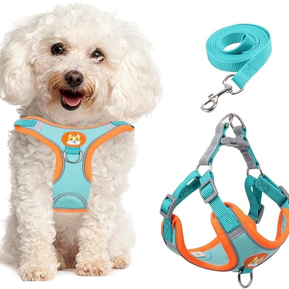 Levviye Dog Harness and Leash Reflective Breathable Set - Adjustable Vest Style for Walking, Blue S