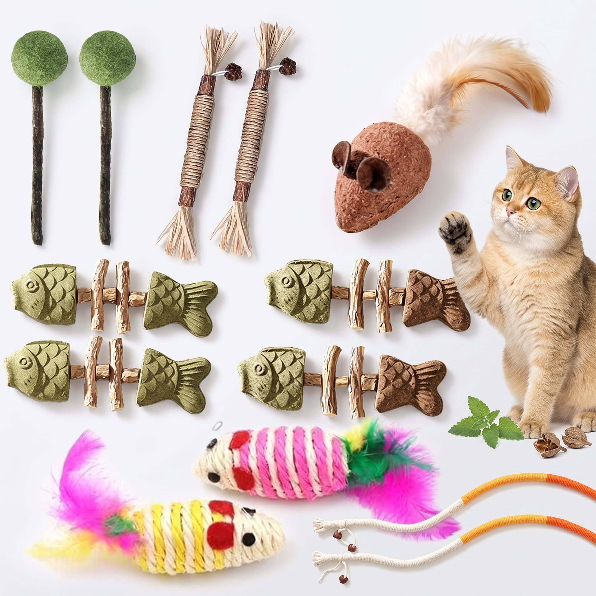 13 Piece Cat Toys Set for Indoor Cats Catnip & Silvervine Toys Variety Pack with Sisal Rope Mice Fish Toys Natural Chew Sticks and Interactive Cat Toys for Kittens and Adult Cats