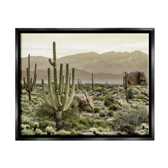 Stupell Industries Rocky Desert Landscape Landscape Photography Black Floater Framed Canvas Art Print Wall Art, 21 x 17