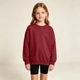 thumbnail image 6 of FAIWAD Sweatshirts for Kids Cotton Long Sleeve Crewneck Pullover Tops Boys Girls Casual School Oversized Clothes, 6 of 9