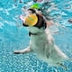 thumbnail image 4 of Pelota de juguete para mascotas que brilla intensamente Control remoto Bolas interactivas para perros y gatos (Amarillo), 4 of 7