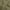 Olive Green, variant on oneOone Polyester Spandex Dusty Rose Fabric Tropical Fabric For Sewing Printed Craft Fabric By The Yard 56 Inch Wide
