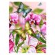 thumbnail image 1 of Taladro diamante pintura (DB2379) mariposa DIY completo bordado Kit Cruz puntada artesanía 50x70cm FLhrweasw Nuevo, 1 of 1