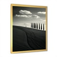 thumbnail image 3 of Designart "Desert Scenery In Black And White II" Meadow Picture Framed Canvas Art Print, 3 of 5