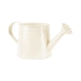 thumbnail image 4 of Watering Can Metal Gardening Tool Accessories – 1L Sprinkling Can for Indoor Outdoor Plants Lawn Garden Daily Use, 4 of 9