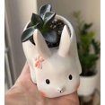 thumbnail image 3 of Lishi Mini Rabbit Desk Ceramic Planter with Saucer - Minimalist Office Window Décor, 3 of 5