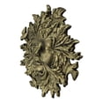 thumbnail image 3 of Cast Iron Antiqued Forest Spirit Goddess Celtic Greenwoman Ent Face Wall Decor, 3 of 9
