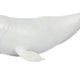 thumbnail image 5 of Modelo de ballena figura de ballena simulada modelo de ballena simulación de plástico de PVC ANGGREK Otros, 5 of 7