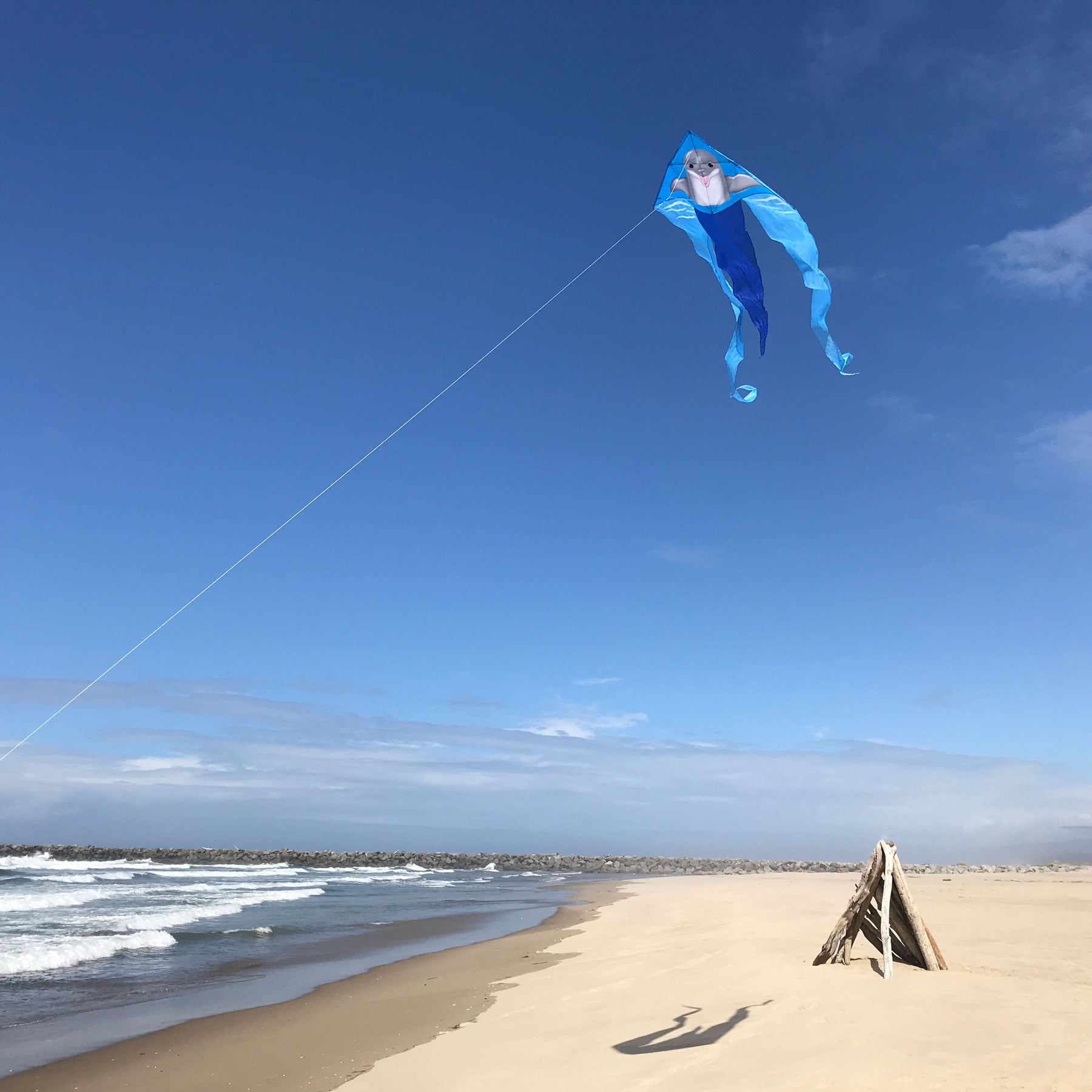 In the Breeze 3280 — 52-inch Dolphin Wave Delta Kite — Fun and Easy Flyer — Combination of Ripstop and Taffeta Fabric