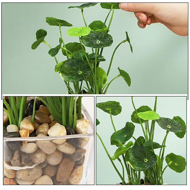 artificial succulent pots 3.5" Set Of Assorted Succulent Artificial Plants w/Cement Pots  Silks Are  Forever