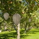 thumbnail image 4 of Señuelo De Nido De Avispas Wasp Nest Decoy Hanging Deterrent Safe Garden Trampa repelente (cian claro), 4 of 4