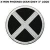 Superheroes Marvel Comics X-MEN Logo 3" Embroidered Iron/Sew-on Applique Patch