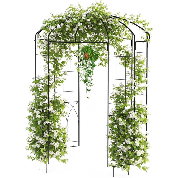 EastVita 8.8FT Birdcage Shape Curved Garden Arch Trellis Black Outdoor