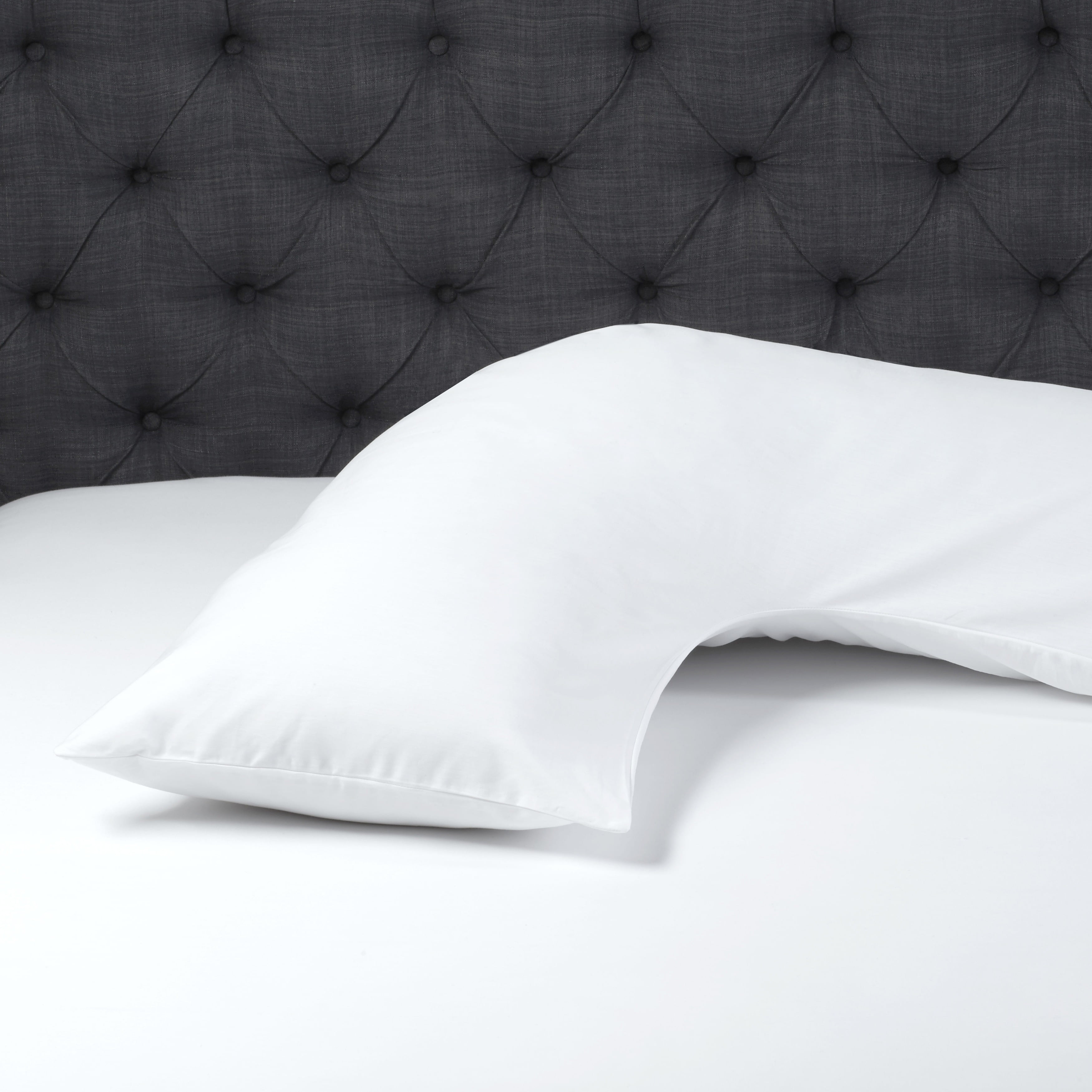 louisville bedding company pillows