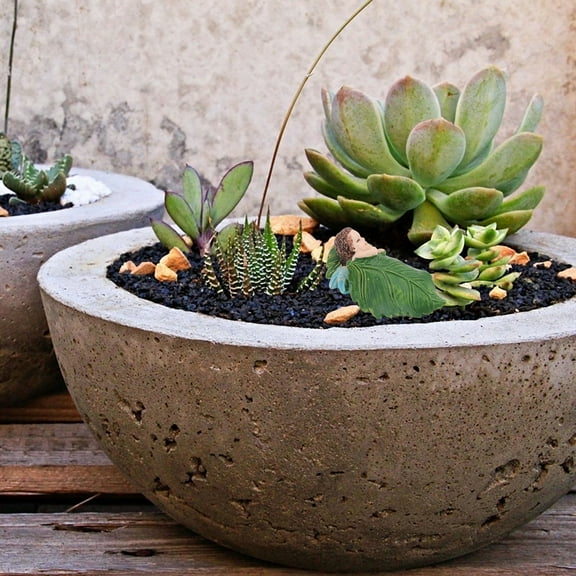 Worgeous Fairy Garden Decoration Set with Resin Adornments for Micro Landscape and Miniature Scenes 5 Pieces