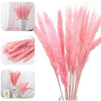 15pcs Dried Flowers 17 inch Natural Dried Pampas Grass Reed Plant with Box Real Flowers Romantic Wedding Flower Bulrush Bouquets Flavorful Durable for DIY Home Decor Matching Photography (Pink)