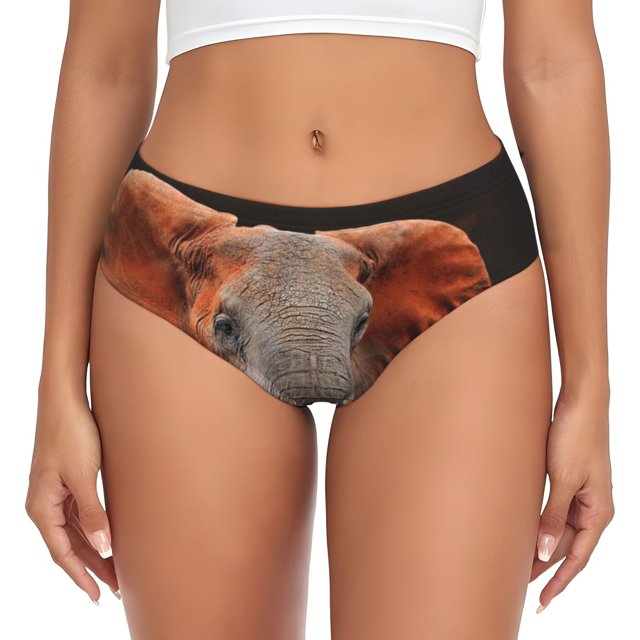 Balery Elephant Sunset in Kenya Ropa Interior de Algodón para Mujer con Dibujo – Braguitas Cómodas y Elásticas, Estilo Clásico-Small
