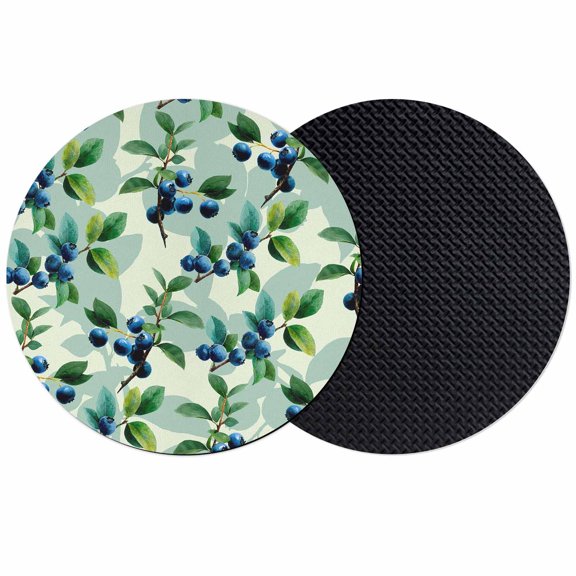 Blueberry Botanical Coasters Set of 2, Absorbent Coasters for Drinks, Green Spring Leaves Branches Coaster for Desk Coffee Table Protection, Home Decor House Warming Gifts 4"