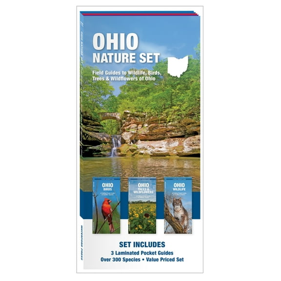 Butterfly Coloring Book : Butterfly Lover Gifts for Toddlers, Kids Ages 2-4, 4-8, Girls Ages 8-12 or Adult Relaxation - Cute Stress Relief Animal Birthday Coloring Book A (Paperback)