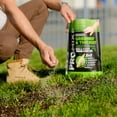 thumbnail image 5 of PRO-MIX Premium Greenest & Thickest Grass Seed, 7 lbs, 5 of 18