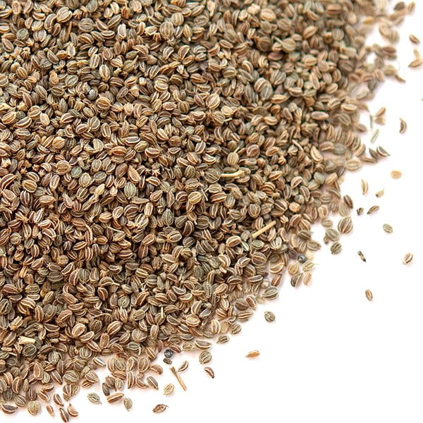 Celery Seed - Walmart.com - Walmart.com Celery Seed - Walmart.com - Walmart.com