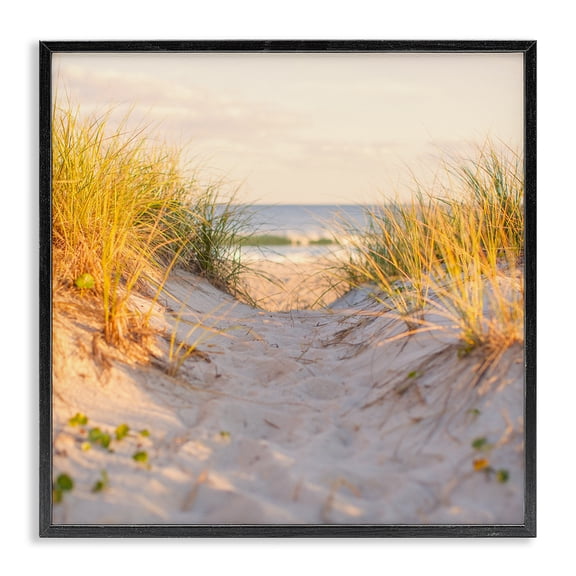 Stupell Industries Transitional Beach Sand Dunes Path Black Framed Giclee Art, 17 x 17, by Michael Quackenbush