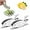 Fish*2, variant on ABCISI Bird Shape Lemon Juicer, Stainless Steel Manual Lemon Juicer and Lime Squeezer, Silver Lime Citrus Kitchen Gadgets for Orange Lemon Pomegranate(2 Pieces)