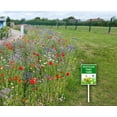 thumbnail image 4 of Pesticide Free Yard Sign, Pesticide Free Garden Sign, No Pesticides Yard Signs, Native Habitat Sign, 7 x 8.8 inch, Set of 1, Sturdy Aluminum Sign Weatherproof, Fade Resistant, Outdoor Use, 4 of 5