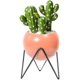 thumbnail image 1 of Modern Round Metal Flower Vase With Succulent Plant Stand Decorative Indoor And Outdoor Flowerpot (orange), 1 of 3