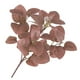 thumbnail image 4 of Billuyoard Hojas de eucalipto Planta artificial Hojas Centro de Hojas Oficina en el hogar Fiesta de boda Decoración Planta Plantas Artificiales rojo Billuyoard HA6648-06B, 4 of 6