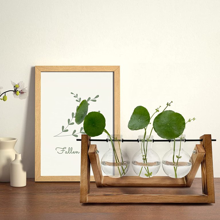 hang plant hook Hanging Plant Swivel Hook Set of 10