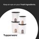 thumbnail image 5 of Bote de almacenamiento de alimentos Tupperware One Touch Reminder de 4 litros, juego de 4, 5 of 7
