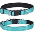 thumbnail image 2 of Reflective Small Breed Dog Collar with Double D Rings Soft NeopreneBreathable Nylon Puppy Collars Adjustable for Girl Boy Pet Cats Teal, 2 of 5