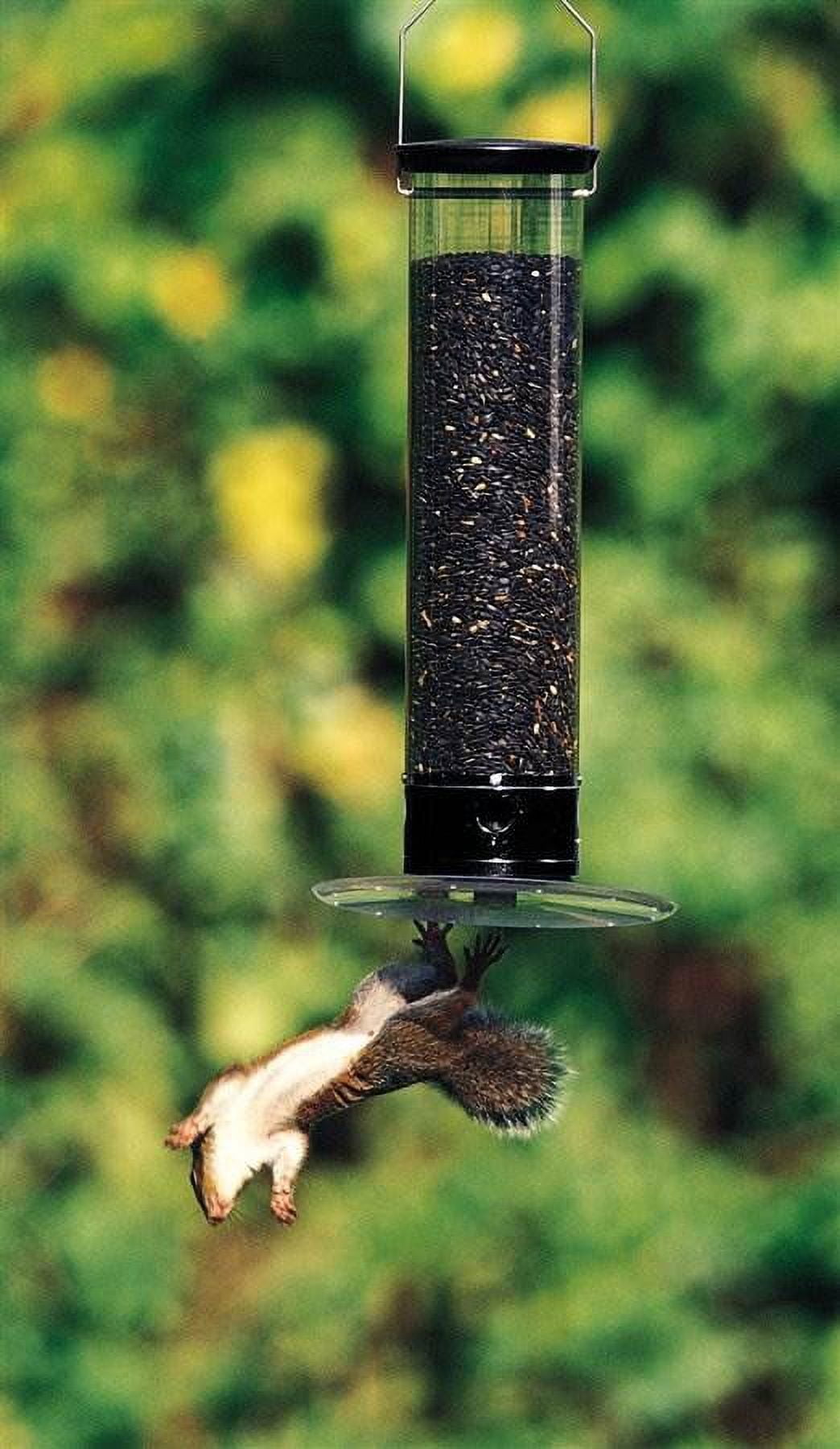 Droll Yankees Tipper Wild Bird 5 lb. Polycarbonate Tube Bird Feeder 4 ports