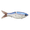Pro Blue, variant on ECO GlideBait Steel Shad