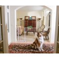 thumbnail image 1 of Carlson Pet Products Maxi Extra Tall Pet Gate, 1 of 1