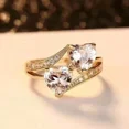 thumbnail image 3 of 2.00Ct Heart Cut Simulated Diamond Double Heart Womens Anniversary Ring 14k Yellow Gold Plated Silver, 3 of 3