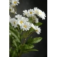 thumbnail image 4 of Silk Daisy Bouquet White 17 inches, 4 of 4